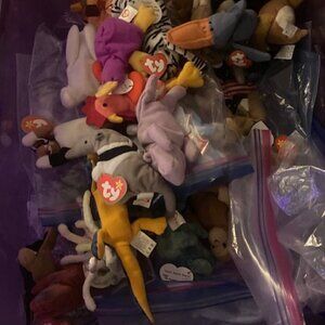 HUGE Lot of Beanie Babies 285 Total